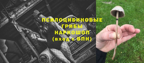 трава Абаза