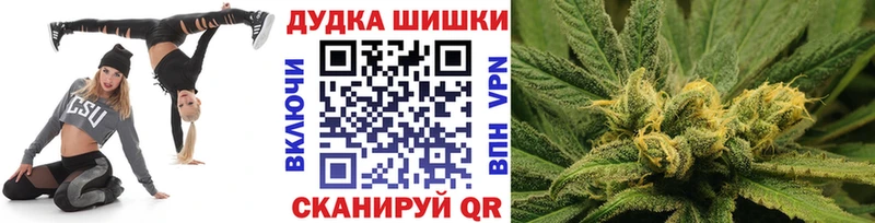 Каннабис сатива  Кировград 